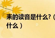 耒的读音是什么?（耒的意思以及正确发音是什么）