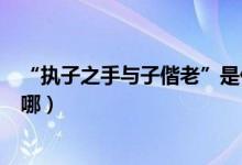 “执子之手与子偕老”是什么意思（执子之手与子偕老出自哪）
