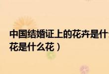 中国结婚证上的花卉是什么花（目前我国使用的结婚证上的花是什么花）