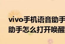 vivo手机语音助手怎么打开（vivo手机语音助手怎么打开唤醒）