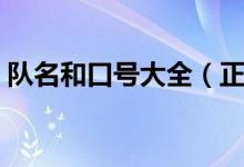 队名和口号大全（正能量队名队呼口号大全）
