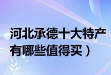 河北承德十大特产（承德有什么特产承德特产有哪些值得买）
