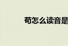 苟怎么读音是什么（苟怎么读）