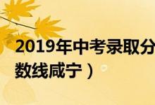 2019年中考录取分数线（2019年中考录取分数线咸宁）