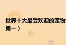 世界十大最受欢迎的宠物龟（热门宠物龟盘点“巴神”位列第一）