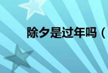 除夕是过年吗（除夕指的是哪一天）