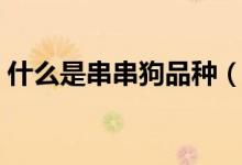 什么是串串狗品种（什么是串串狗（图文））
