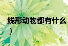 线形动物都有什么（什么是线形动物（图文））