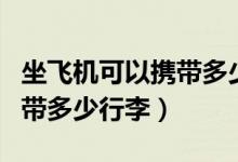 坐飞机可以携带多少行李登机（坐飞机可以携带多少行李）