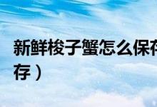 新鲜梭子蟹怎么保存一晚（新鲜梭子蟹怎么保存）