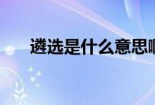 遴选是什么意思啊（遴选是什么意思）