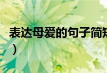 表达母爱的句子简短（表达母爱的句子有哪些）