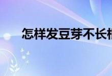 怎样发豆芽不长根视频（怎样发豆芽）