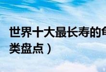 世界十大最长寿的龟类（自然界中寿命最长龟类盘点）