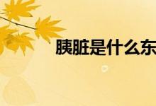 胰脏是什么东西（胰脏是什么）