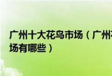 广州十大花鸟市场（广州花鸟鱼虫市场在哪广州大型花鸟市场有哪些）