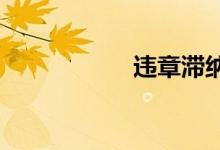  违章滞纳金有上限吗 