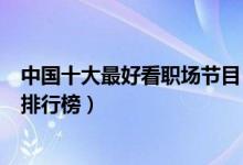 中国十大最好看职场节目（职场节目有哪些职场真人秀节目排行榜）