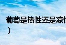 葡萄是热性还是凉性水果（葡萄是热性水果吗）