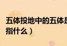 五体投地中的五体是指（五体投地中的五体是指什么）