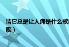 情它总是让人痛是什么歌曲的歌词（情它总是让人痛是什么歌）