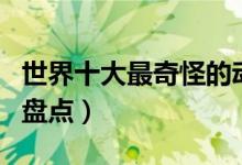 世界十大最奇怪的动物（地球上最怪异的动物盘点）