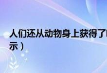 人们还从动物身上获得了哪些启示（人们从动物得到哪些启示）
