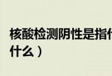 核酸检测阴性是指什么（核酸阴性和阳性是指什么）