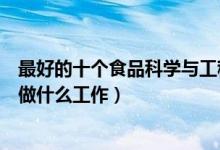 最好的十个食品科学与工程就业方向（食品科学与工程可以做什么工作）
