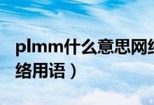 plmm什么意思网络用语（plmm什么意思网络用语）