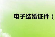 电子结婚证件（电子结婚证怎么领）