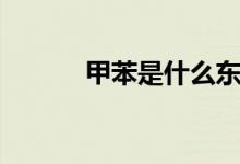 甲苯是什么东西（甲苯是什么）