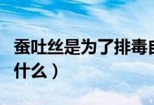 蚕吐丝是为了排毒自我保护吗（蚕吐丝是为了什么）