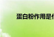 蛋白粉作用是什么（蛋白粉作用）