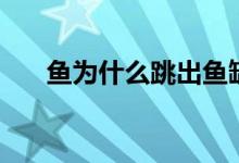 鱼为什么跳出鱼缸（鱼为什么吃荷花）