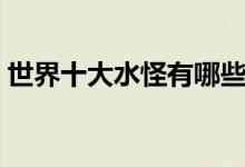 世界十大水怪有哪些（震惊世界的水怪之谜）