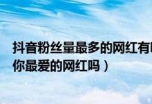 抖音粉丝量最多的网红有哪些（抖音粉丝最多的十大网红有你最爱的网红吗）