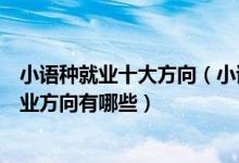 小语种就业十大方向（小语种就业方向与前景小语种专业就业方向有哪些）