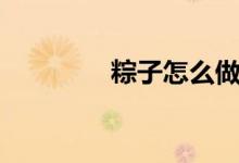 粽子怎么做（粽子的做法）