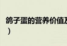 鸽子蛋的营养价值及功效（鸽子蛋的营养价值）