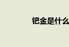 钯金是什么（什么是钯金）