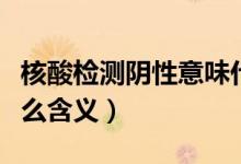 核酸检测阴性意味什么（核酸检测呈阴性有什么含义）