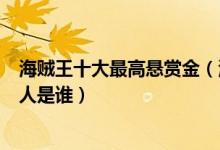 海贼王十大最高悬赏金（海贼王悬赏排名海贼王赏金最高的人是谁）