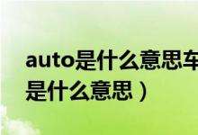 auto是什么意思车上的（汽车上按键AUTO是什么意思）