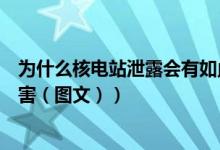 为什么核电站泄露会有如此大的影响（核电站泄露有什么危害（图文））