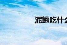 泥鳅吃什么（泥鳅吃啥）