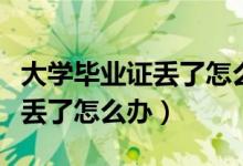 大学毕业证丢了怎么查学历证明（大学毕业证丢了怎么办）