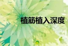 植筋植入深度（植筋一般打多深）