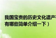 我国宝贵的历史文化遗产有哪些（我国宝贵的历史文化遗产有哪些简单介绍一下）