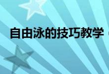 自由泳的技巧教学（自由泳的技巧与方法）
